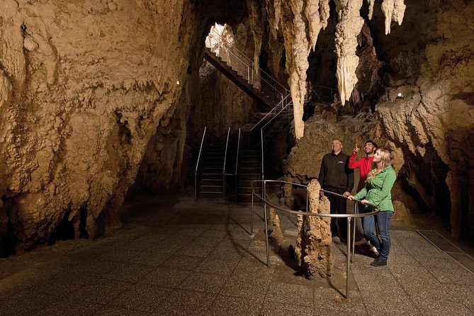 Waitomo Glowworm Caves Guided Tour - In-Depth Review: What to Expect from the Waitomo Glowworm Caves Guided Tour