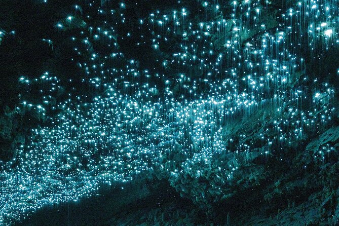Waitomo E-bike ride including enchanting bush walk - FAQ