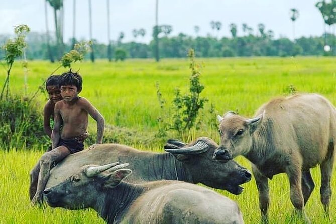 Morning Tour,Ak Phnom temple,Rice wine,Rice Paper, killing Field - FAQ