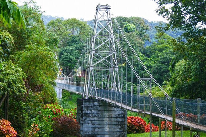 Kandy Day Tour from Galle - A Closer Look at the Tour