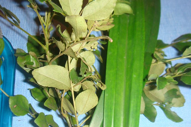 Sri Lankan Cooking with Tricks - Discovering the Heart of Sri Lankan Cooking in Ambalangoda