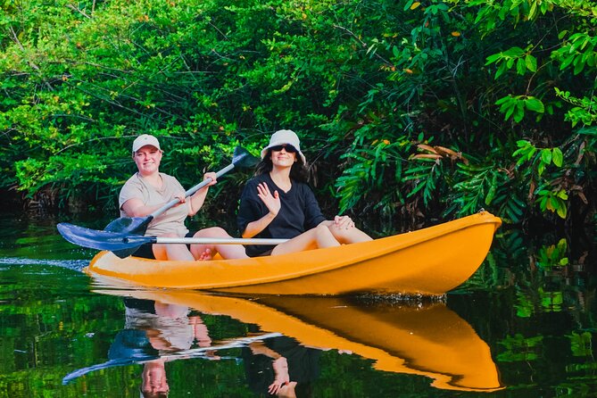 Kayaking Adventure on serene waters through mangroves, Akurala - The Sum Up