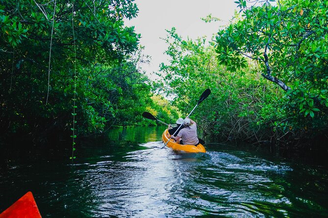 Kayaking Adventure on serene waters through mangroves, Akurala - Key Points