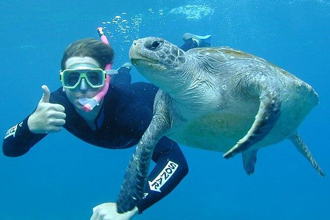 Hikkaduwa Unforgettable Snorkeling Experience - What You Can Expect from the Tour