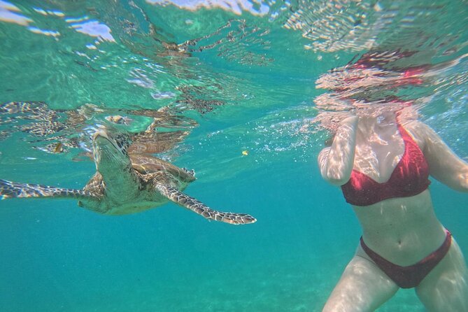 Hikkaduwa Unforgettable Snorkeling Experience - The Marine Encounter: What Youll See