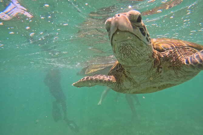 Hikkaduwa Unforgettable Snorkeling Experience - The Sum Up