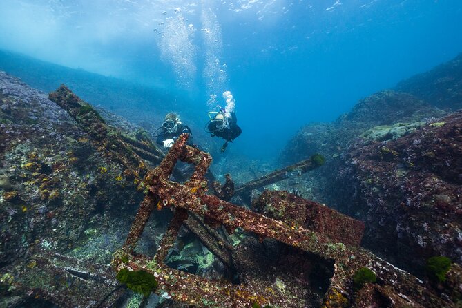 Double Dive to South Solitary Island Coffs Harbour - The Value of This Tour