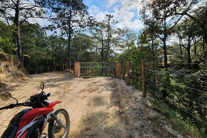 Banderas Jeep Tour - Who Is This Tour Best For?