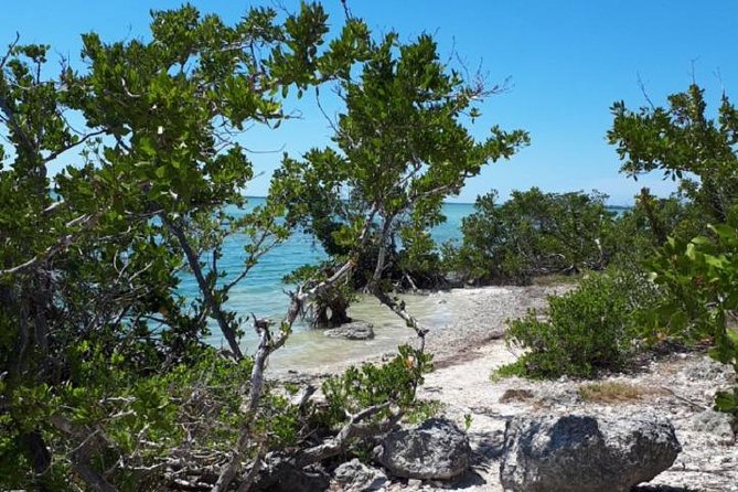 Miami to Key West Day Trip Transportation - Practical Tips for Your Trip