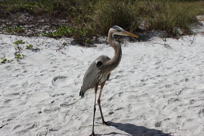 Private Luxury Boat Charter - Itinerary Breakdown: What to Expect