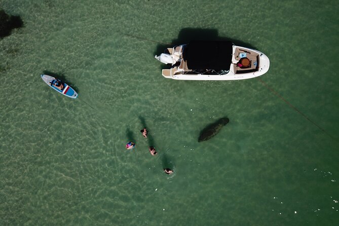 Private Luxury Boat Charter - The Rich Wildlife Encounters and Authentic Experiences