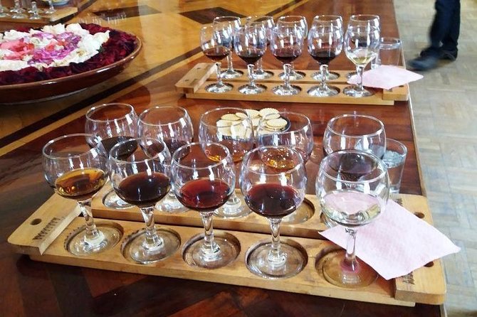 Wine Tasting Tour in Samarkand - A Full Breakdown of the Tour Experience