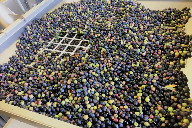 The Olive Grove Tour - FAQ