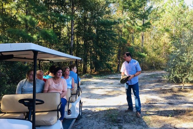 The Olive Grove Tour - The Olive Grove Tour: An Authentic Taste of Georgia’s Olive Heritage