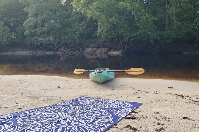 Okefenokee Swamp: Guided Kayak Tour with a Local Naturalist - Experience the Okefenokee Swamp on a Guided Kayak Tour with a Local Naturalist