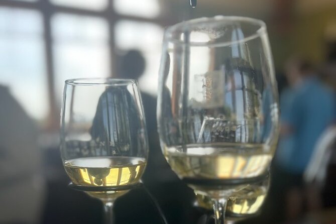 NON BUS Traverse Sunset Wine Tour 3 Winery Old Mission Peninsula - Final Thoughts