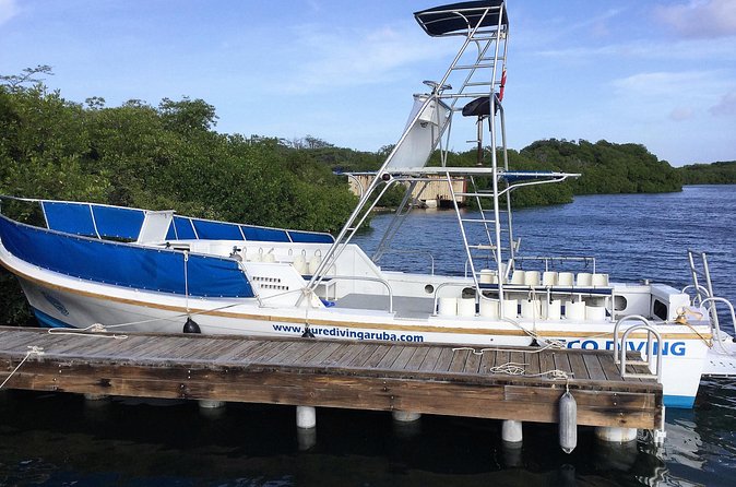 Aruba 2-Tank guided Dive for certified divers / own equipment - Authenticity, Value, and Experience