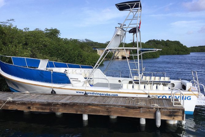 Aruba 2-Tank guided Dive for certified divers / own equipment - Key Points