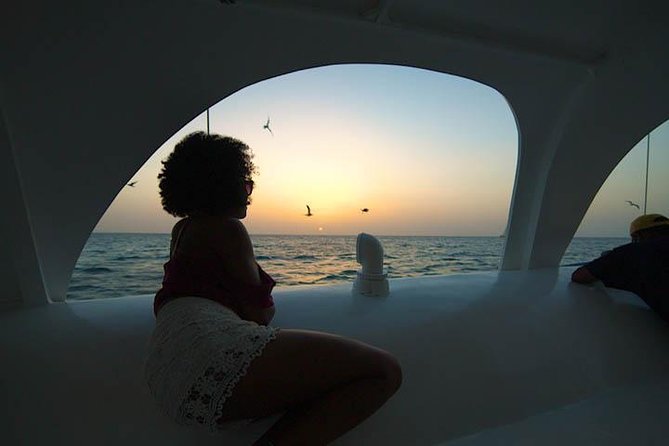 Aruba Sunset Sail Cruise Aboard The Dolphin Catamaran - Practical Tips Before You Go