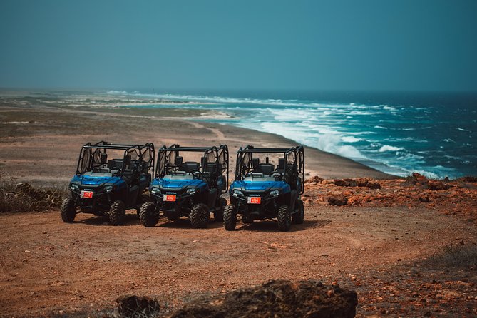 4 seat UTV Rental Adventure - The Sum Up: Who Will Love This Experience?