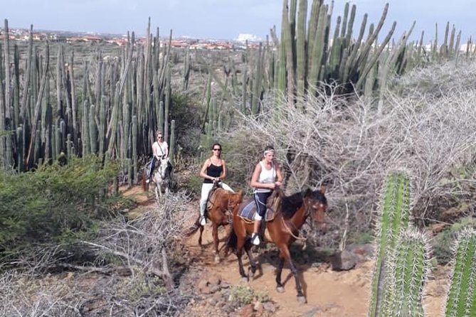 Aruba Horseback Riding Tour to Hidden Lagoon - FAQs
