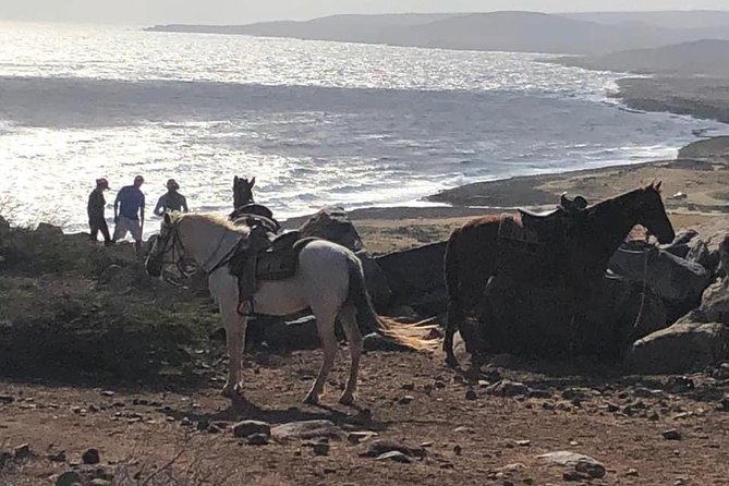Aruba Horseback Riding Tour For Advanced Riders - In The Sum Up