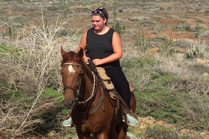 Aruba Horseback Riding Tour For Advanced Riders - Final Thoughts: Is It Worth It?