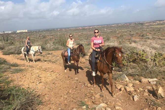 Sunset Horseback Ride in Aruba - Exploring the Experience in Detail