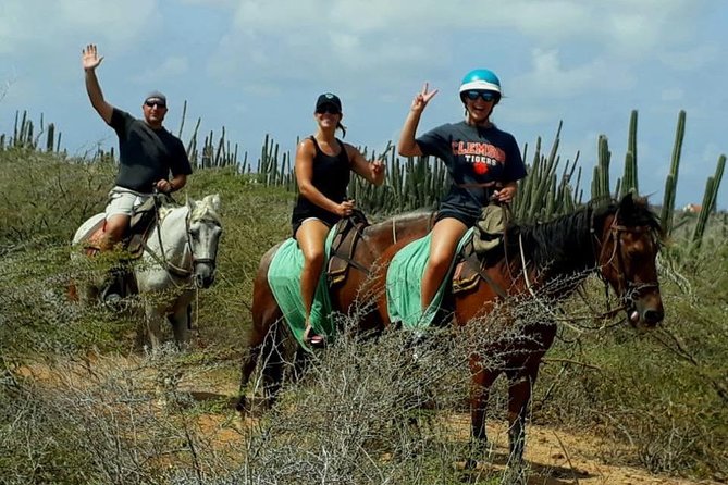 Aruba Countryside: Horseback Adventure to Urirama Cove - Exploring the Aruba Horseback Adventure in Detail