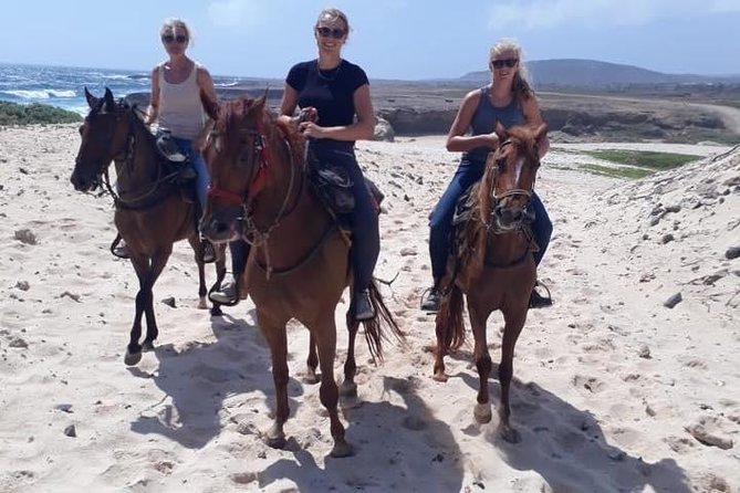 Aruba Countryside: Horseback Adventure to Urirama Cove - Key Points