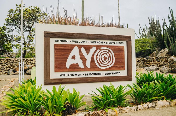 Half-Day Jeep Tour in Aruba - FAQ