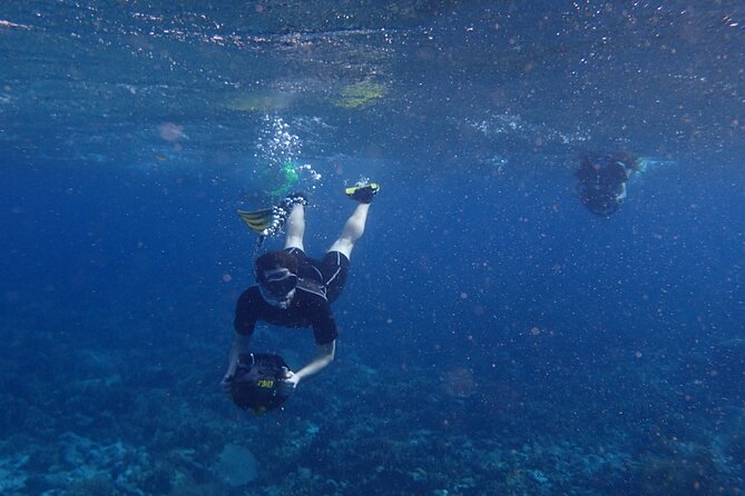 Small-Group Sea Scooters Snorkel at Mangel Halto Beach in Aruba - Key Points