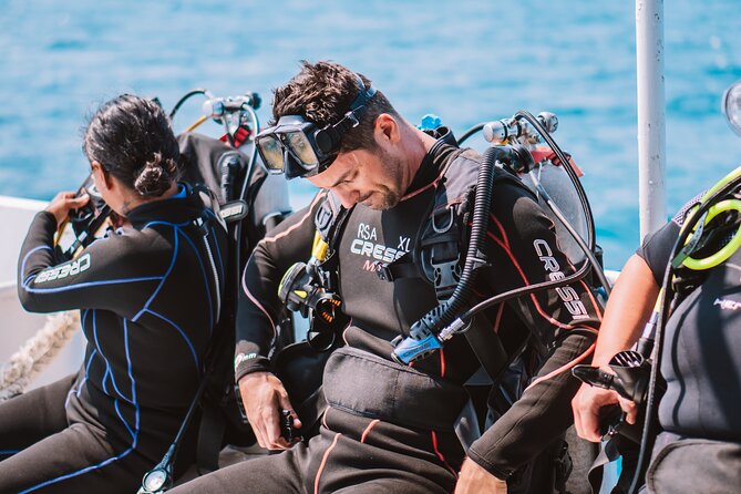 Aruba Guided Night Dive Adventure: Shallow Reefs or Shipwrecks - Aruba Guided Night Dive Adventure: Shallow Reefs or Shipwrecks