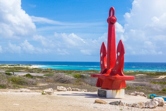 Private Aruba Beach Hop and Snorkel Experience - Who Will Love This Tour?