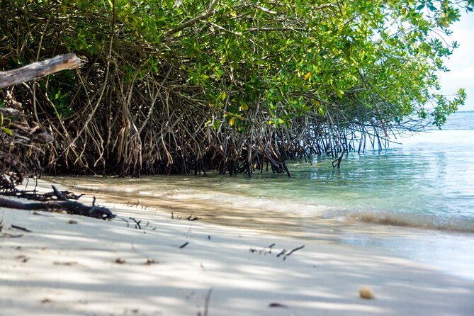 Private Aruba Beach Hop and Snorkel Experience - Final Thoughts: Is It Worth It?