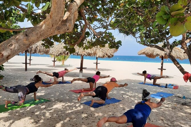 Beach Yoga, Sound Bath & meditation, all levels welcome - Authentic Reviews and What They Reveal