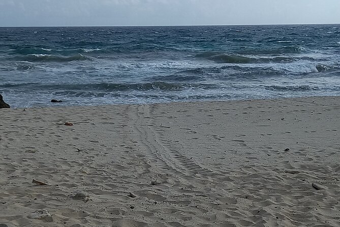 Sunrise Hike & Swim in Natural Pool: Escape the Crowds and Heat - Practical Details & Tips