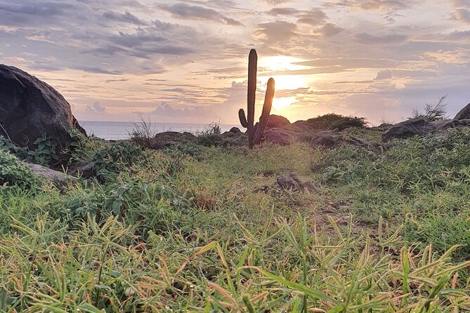 Arikok Sunrise Hiking Tour to Natural Pool + Transportation - Why This Tour Excels