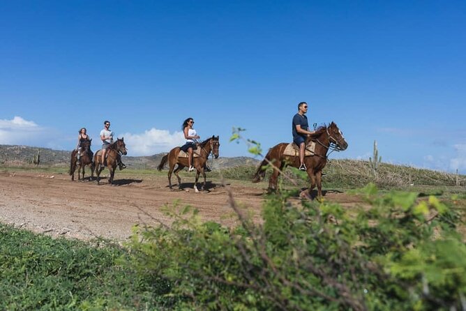 Horseback Riding Wariruri Beach Tour in Aruba - The Sum Up