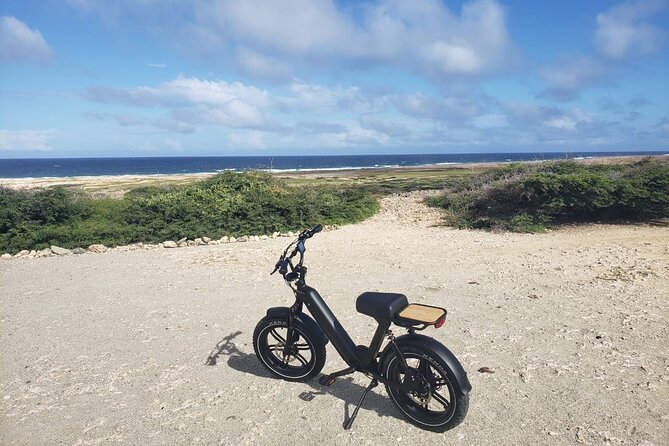 Ebike Rentals in Aruba - An In-Depth Look at Ebike Rentals in Aruba