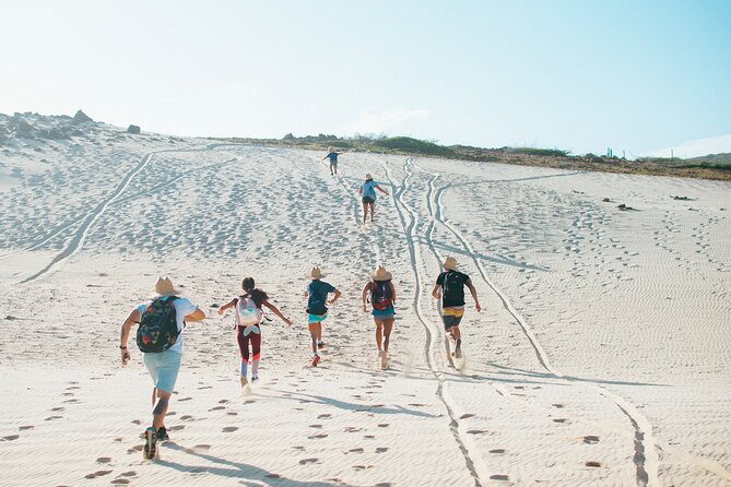 Private Aruba National Park Hiking & Natural Pool Swimming - Key Points