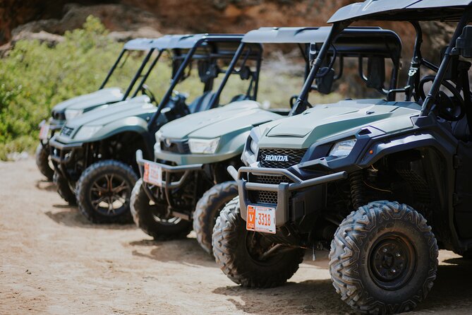 Exclusive Aruba UTV Tours - Exploring Aruba in Style: The UTV Experience