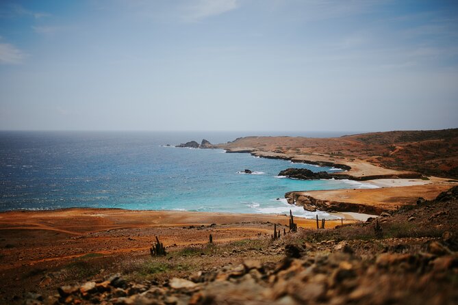 Exclusive Aruba UTV Tours - Pricing & Value Analysis