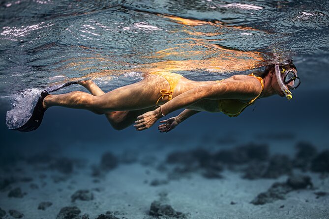 Turtle Snorkeling Aruba: Private Tour with Video - Frequently Asked Questions