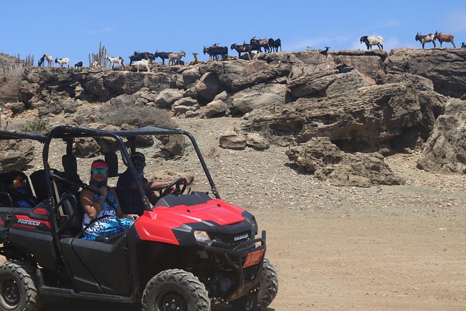 Aruba UTV, ATV Adventure to Secret Beach and Cave Pool - Authentic Experiences and Practical Tips