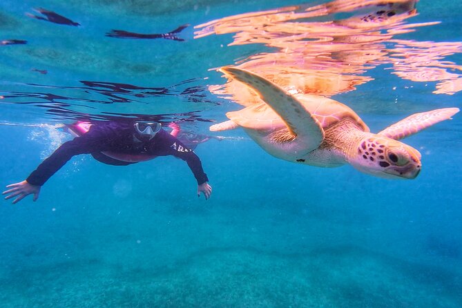Aruba Turtle Spotting Snorkeling Adventure - Final Thoughts