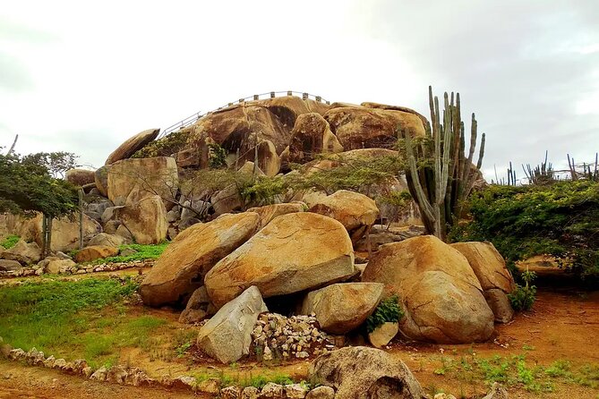 Aruba Cruise Port Tours - The Sum Up