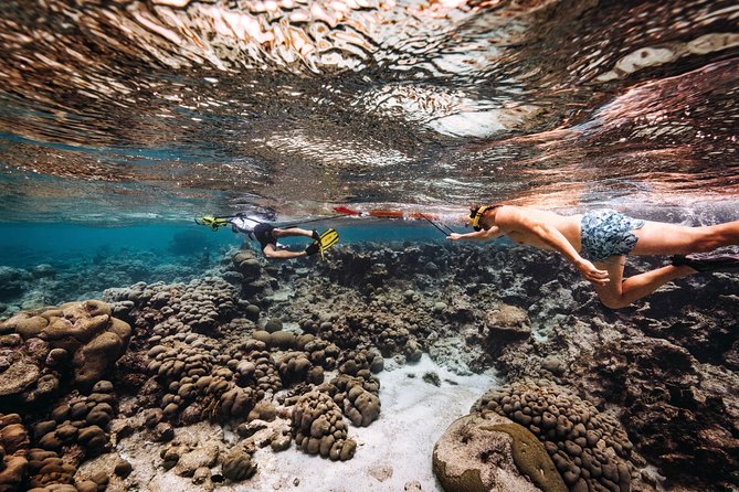 Luxury Lagoon Cruise with Onboard Chef and Signature Cocktails - FAQ