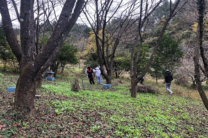 Visiting Beekeeper and Beeswax Craft Making in Bungoono City - What to Expect During Your Visit
