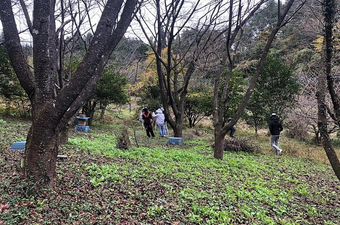 Visiting Beekeeper and Beeswax Craft Making in Bungoono City - Final Thoughts